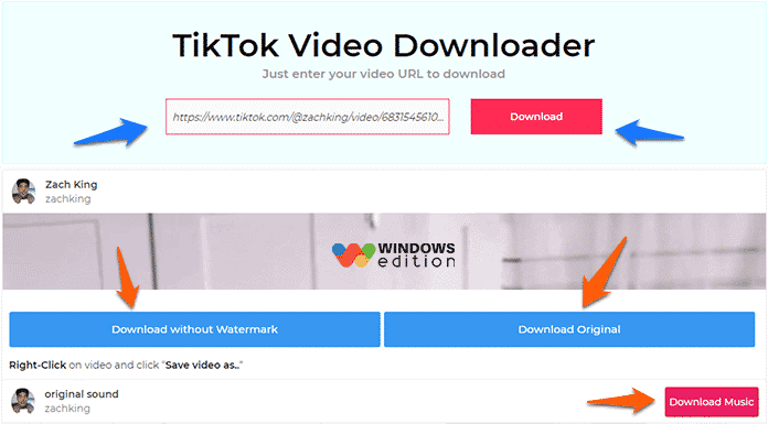  how to download tiktok video on pc