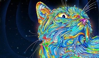 Cat Trippy Background
