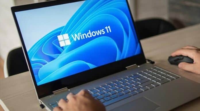 Where Do Deleted Files Go in Windows 11